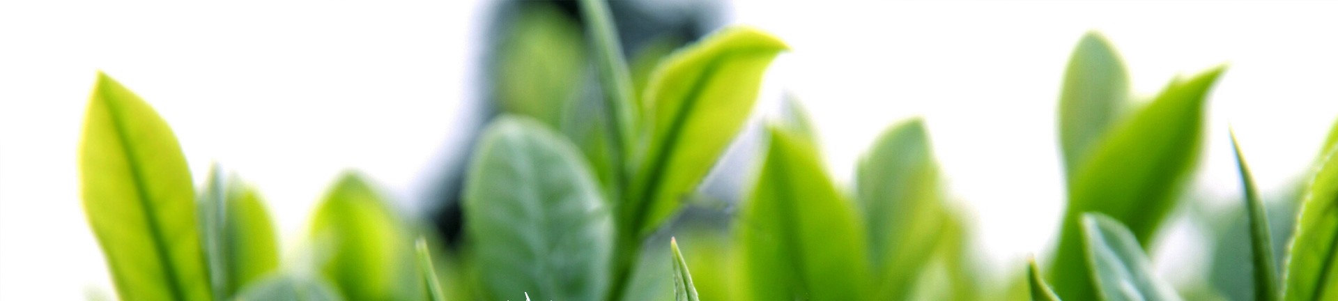 tokenpocket官网app下载安卓